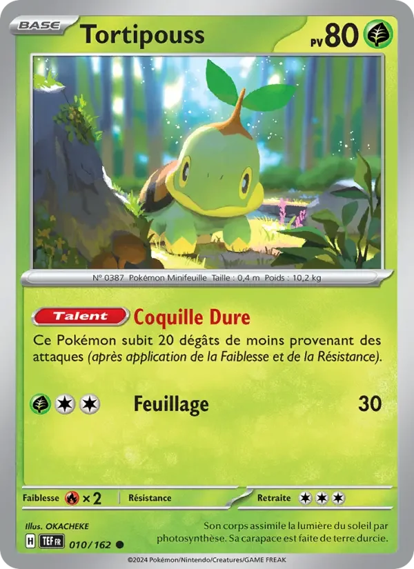 Carte Tortipouss