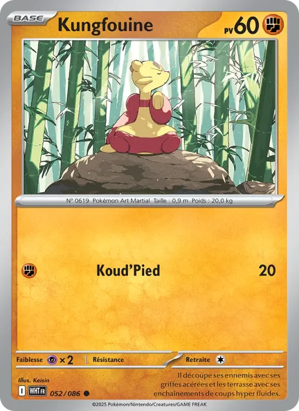 Carte Kungfouine