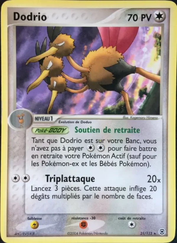 Carte Dodrio