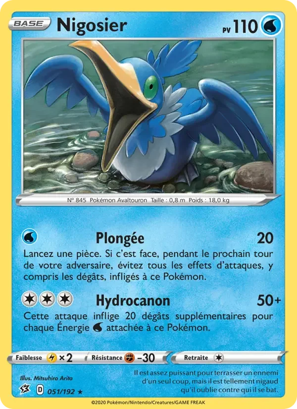 Carte Nigosier