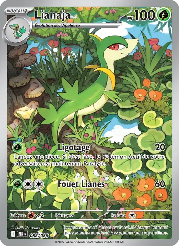 Carte Lianaja