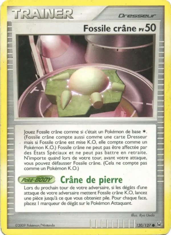 Carte Fossile crâne