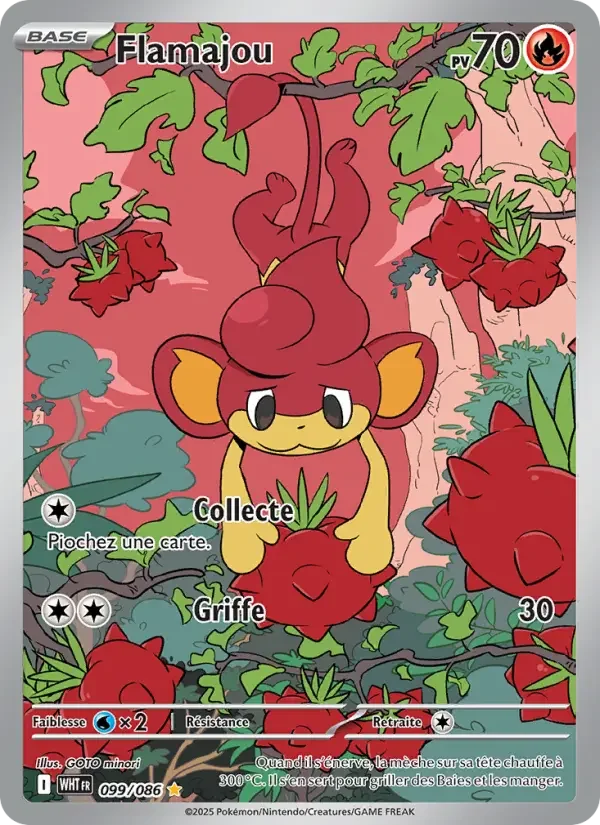 Carte Flamajou