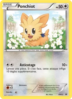 Carte Pokémon Lillipup — Promos Noir et Blanc