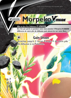 Carte Morpeko V-UNION