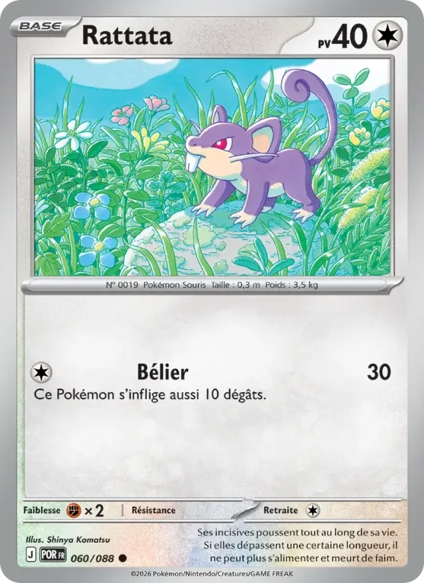 Carte Pokémon Rattata — Équilibre Parfait