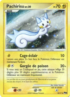 Carte Pachirisu