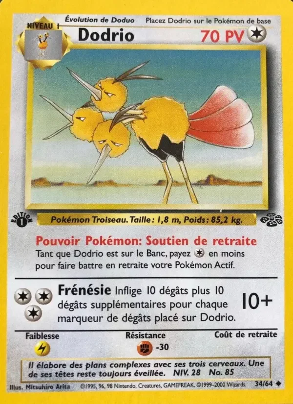 Carte Dodrio