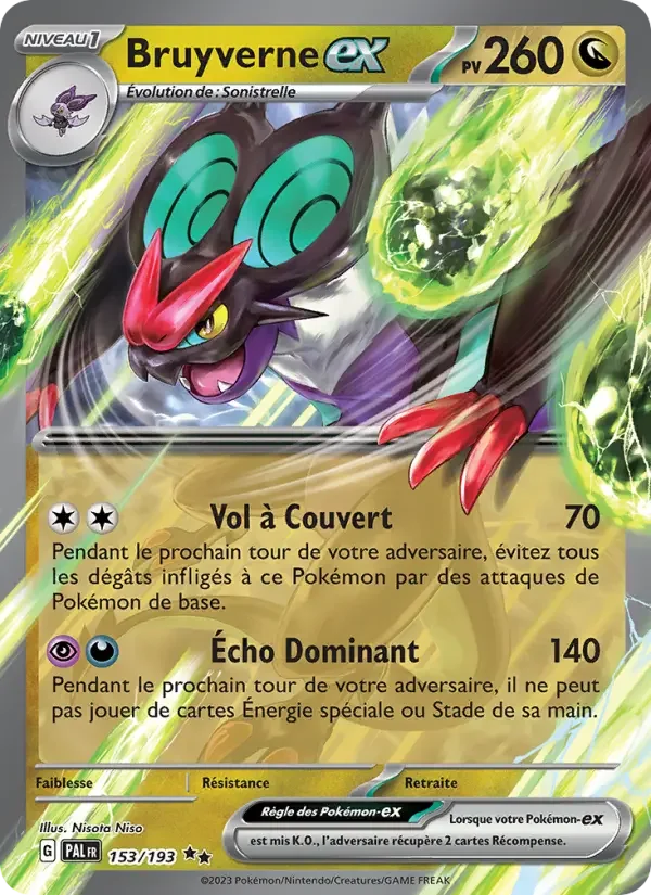 Carte Bruyverne-ex