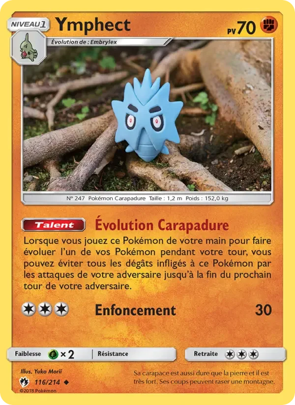 Carte Ymphect