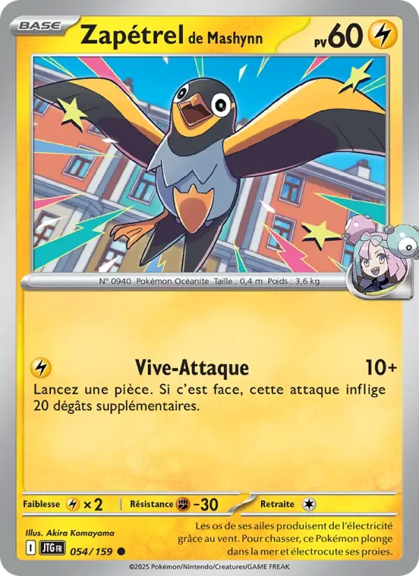 Carte Pokémon Zapétrel de Mashynn — Aventures Ensemble