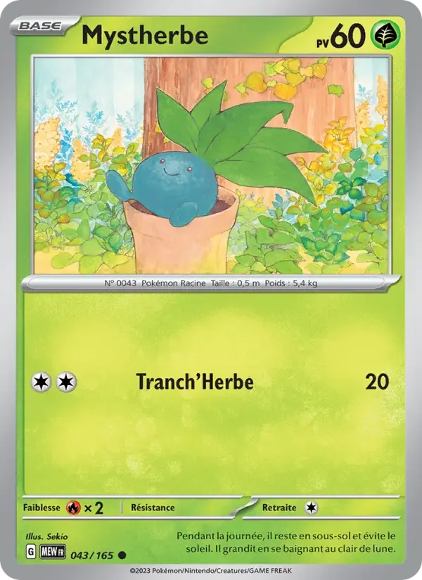 Carte Mystherbe