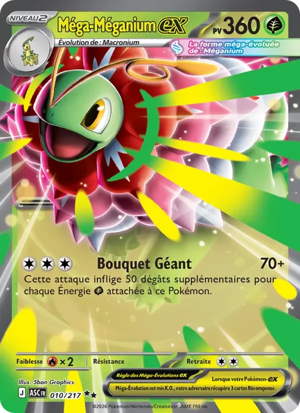Carte Méga-Méganium-ex