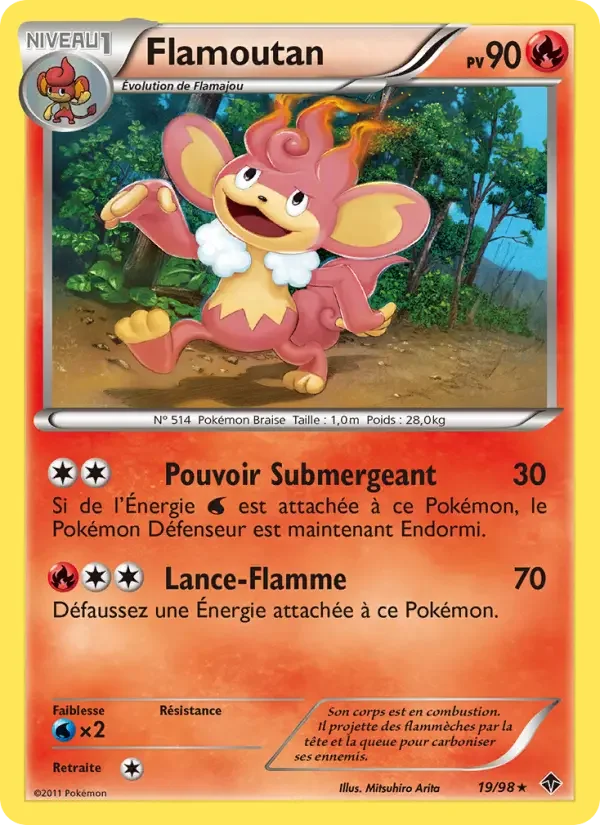 Carte Flamoutan