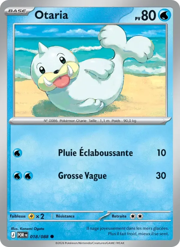 Carte Pokémon Otaria — Équilibre Parfait