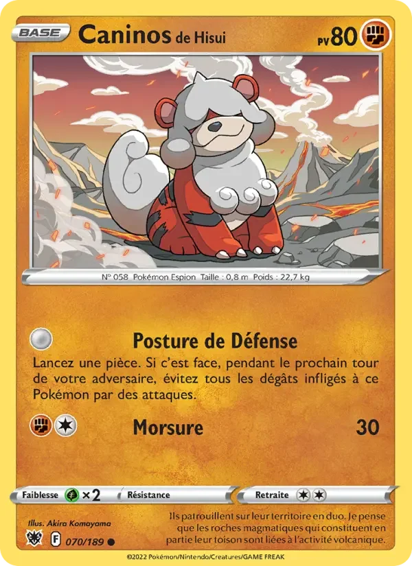 Carte Pokémon Caninos de Hisui — Astres Radieux