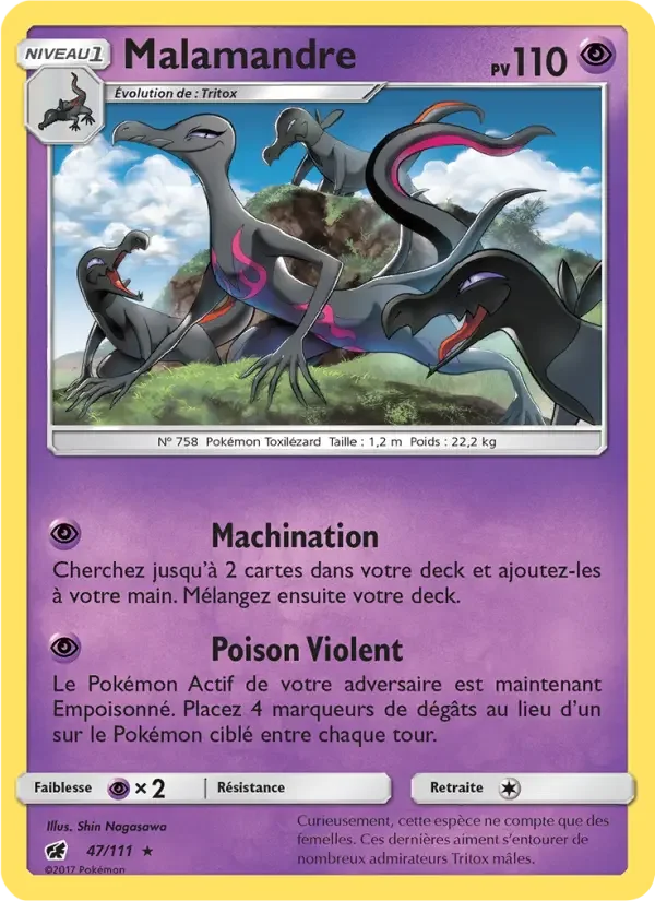 Carte Malamandre