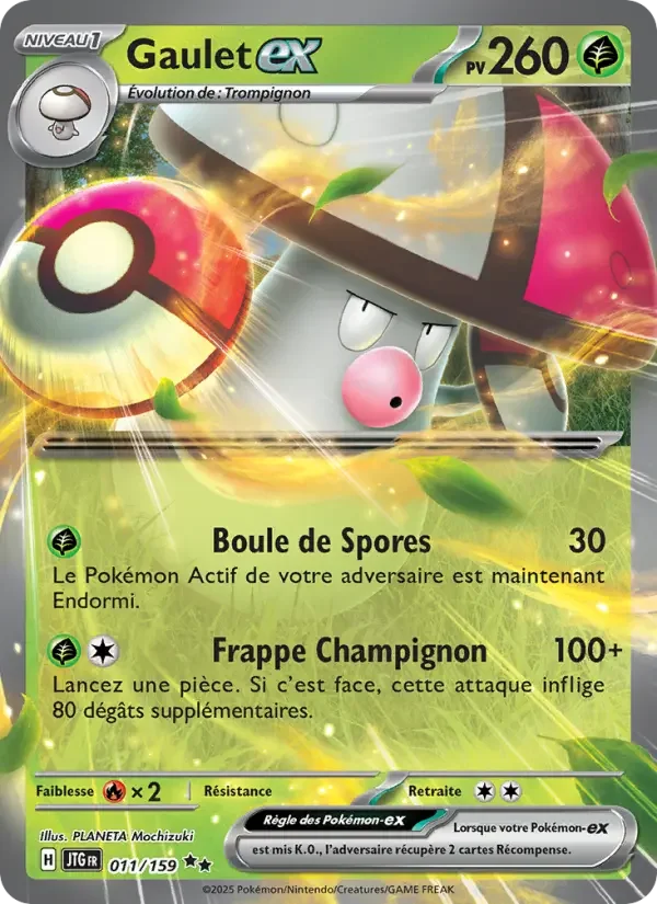Carte Gaulet-ex