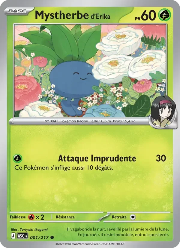 Carte Mystherbe d'Erika