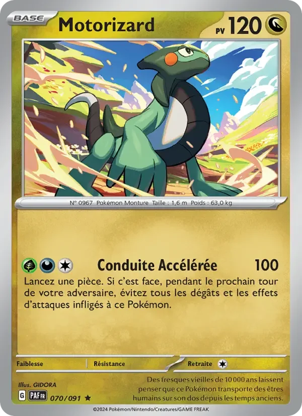 Carte Motorizard