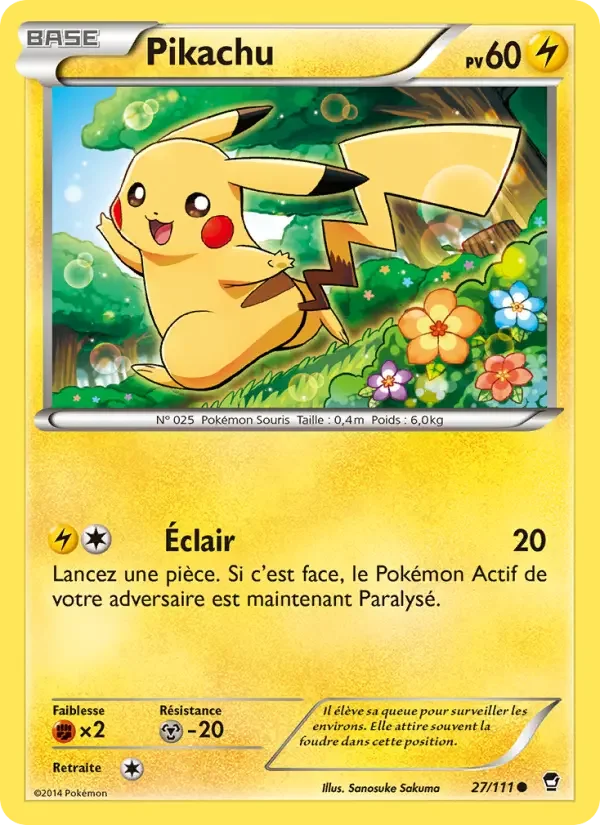 Carte Pokémon Pikachu — Poings Furieux