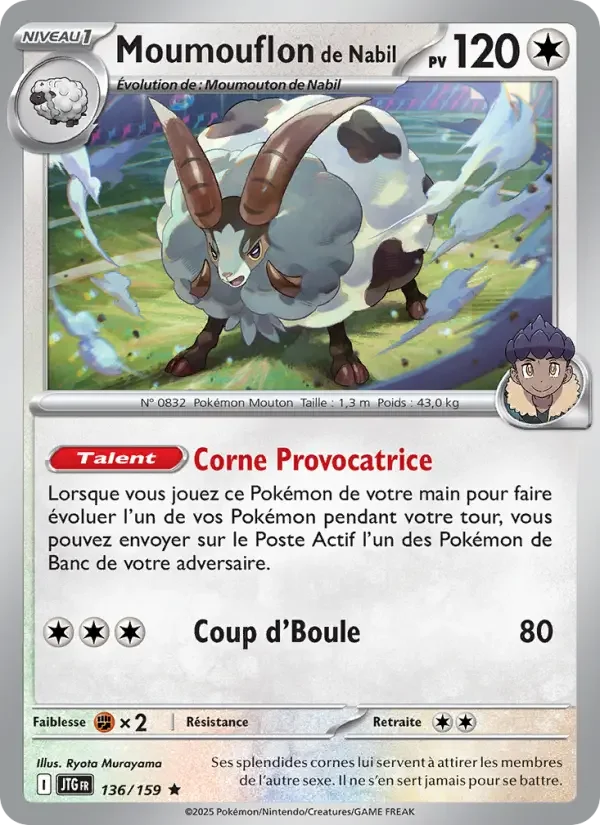 Carte Moumouflon de Nabil
