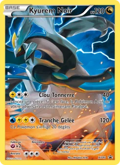 Carte Pokémon Kyurem Noir — Promos X&Y