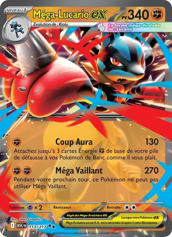 Carte Méga-Lucario-ex