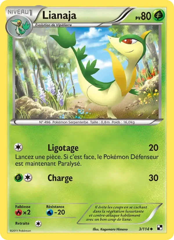Carte Lianaja