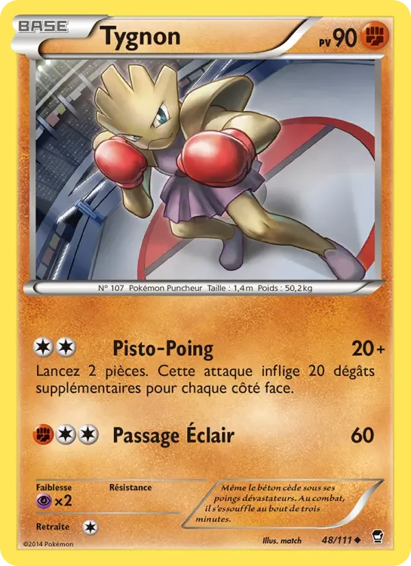 Carte Pokémon Tygnon — Poings Furieux