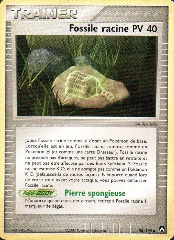 Carte Fossile racine