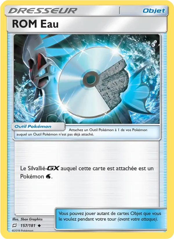Carte Pokémon ROM Eau — Duo de Choc