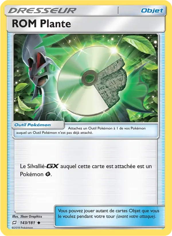 Carte Pokémon ROM Plante — Duo de Choc