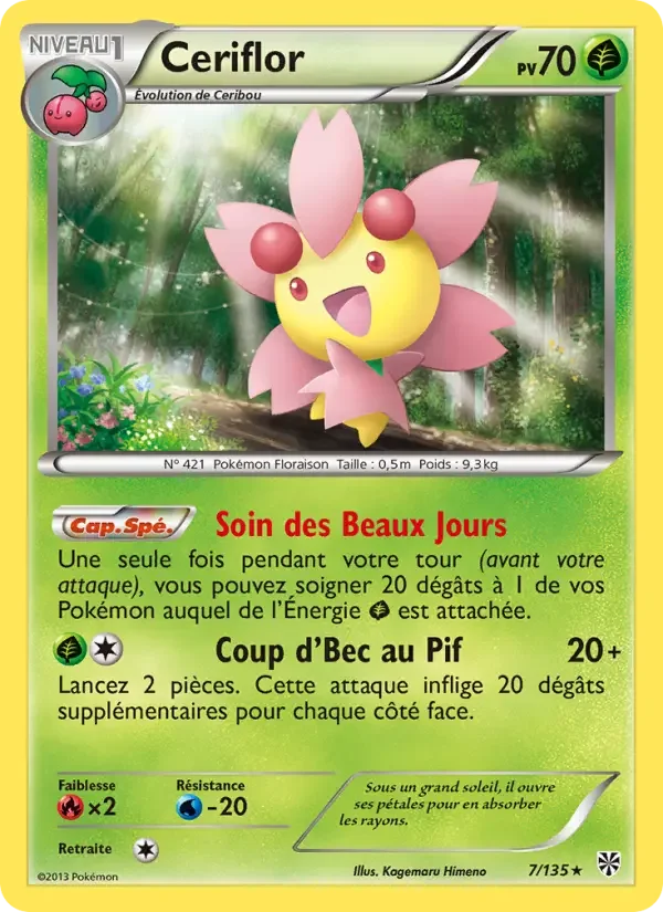Carte Ceriflor