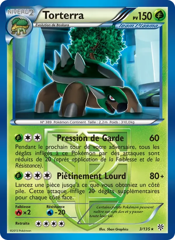 Carte Torterra