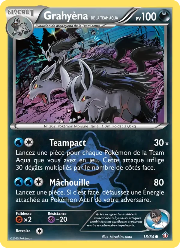 Carte Grahyèna de la Team Aqua