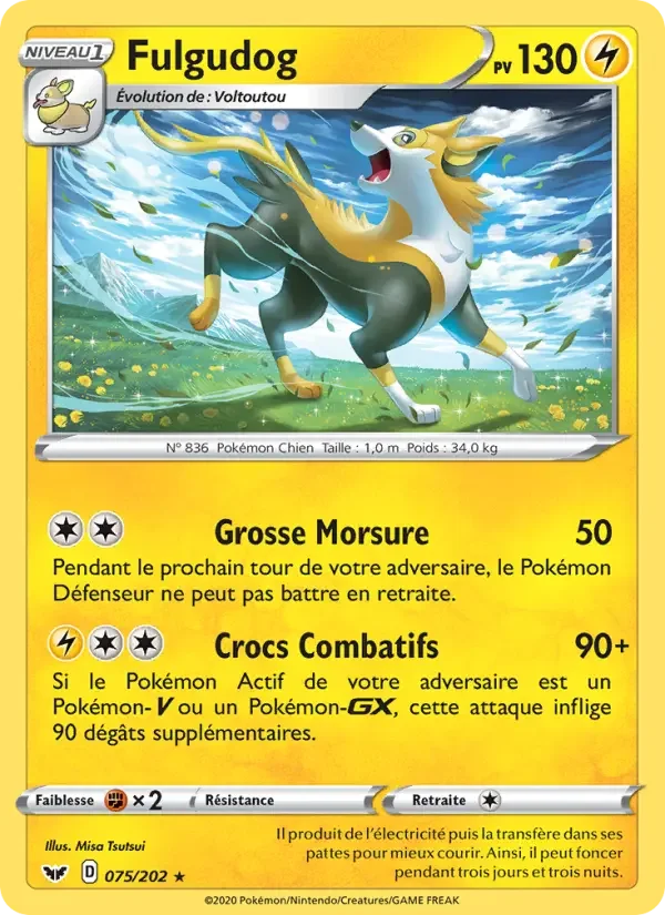 Carte Fulgudog