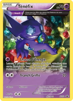 Carte Pokémon Ténéfix — Promos X&Y