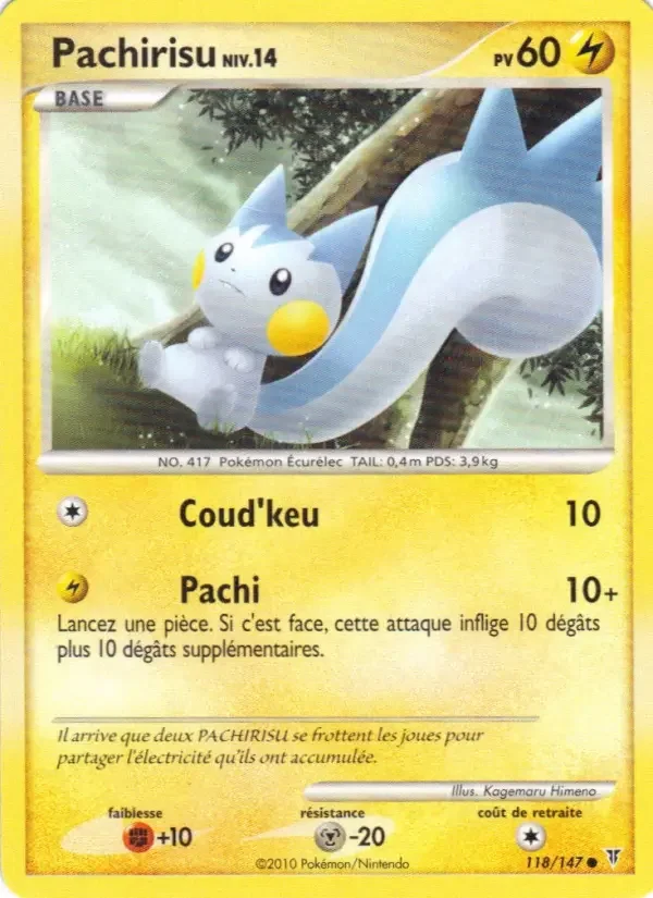 Carte Pachirisu