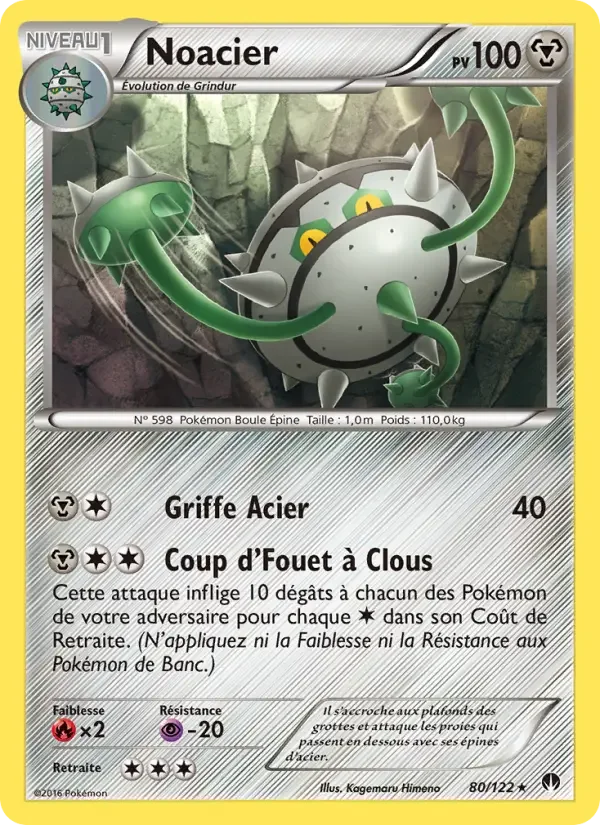 Carte Noacier
