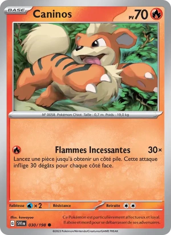 Carte Pokémon Caninos — Écarlate et Violet