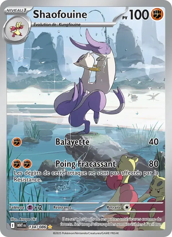 Carte Shaofouine