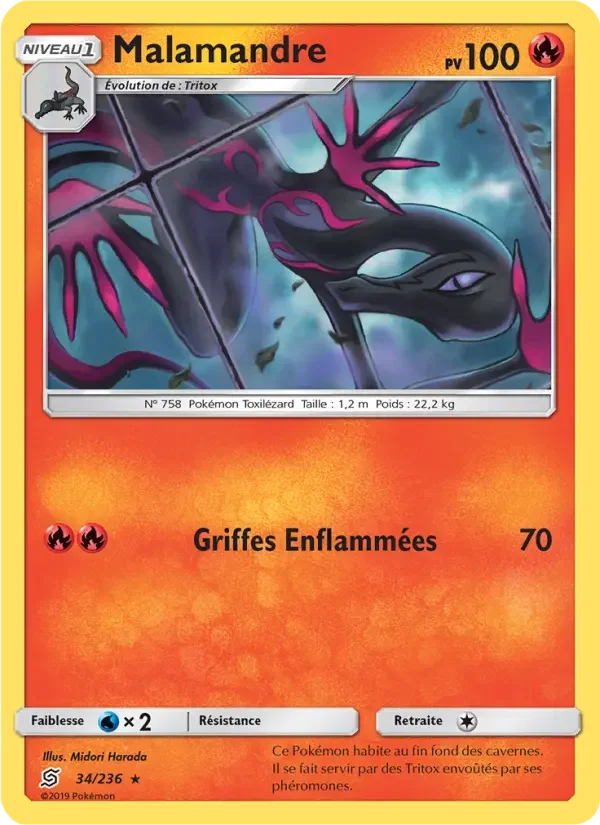 Carte Malamandre
