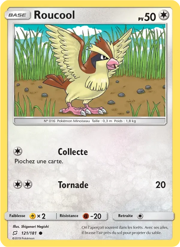 Carte Pokémon Roucool — Duo de Choc