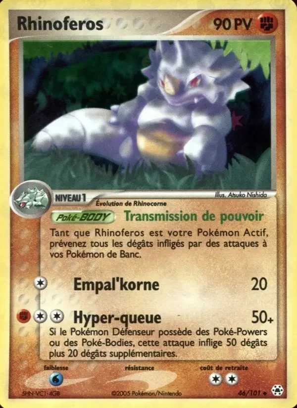 Carte Rhinoferos