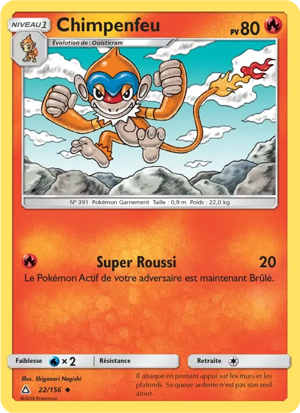 Carte Chimpenfeu