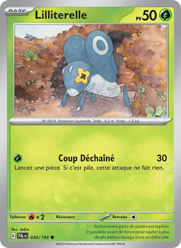 Carte Lilliterelle