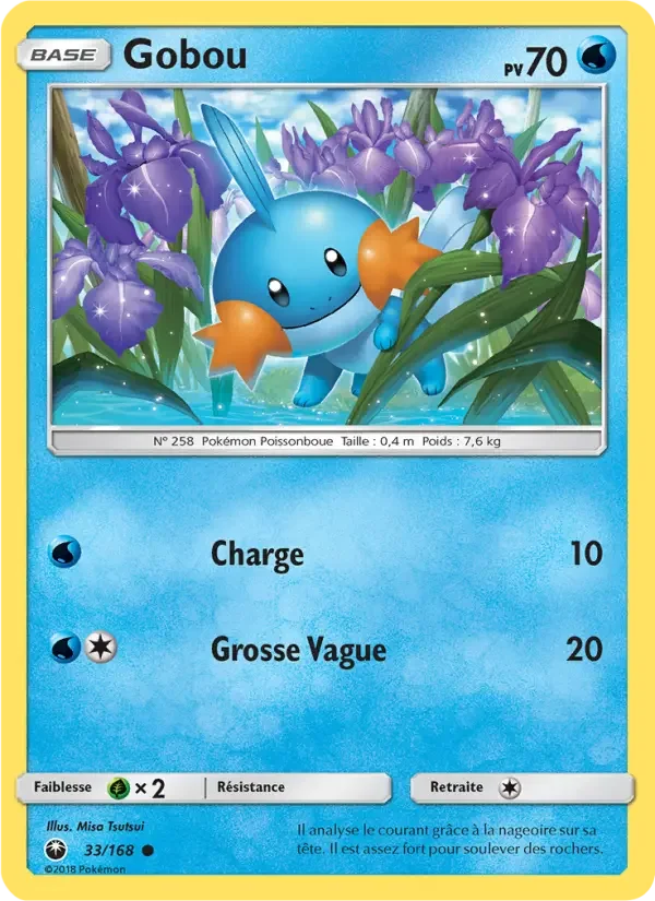 Carte Gobou