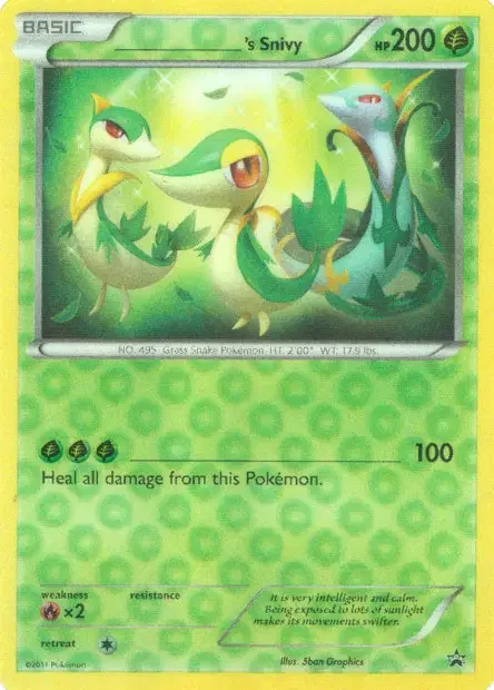 Carte _____'s Snivy