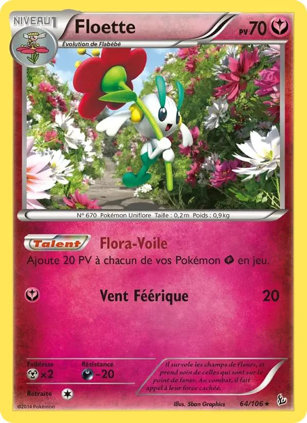 Carte Floette
